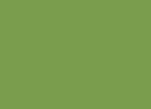 multiloft insert, green, zielony, Pantone 577U