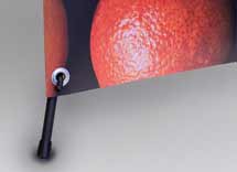 x-baner-standard_03P-male